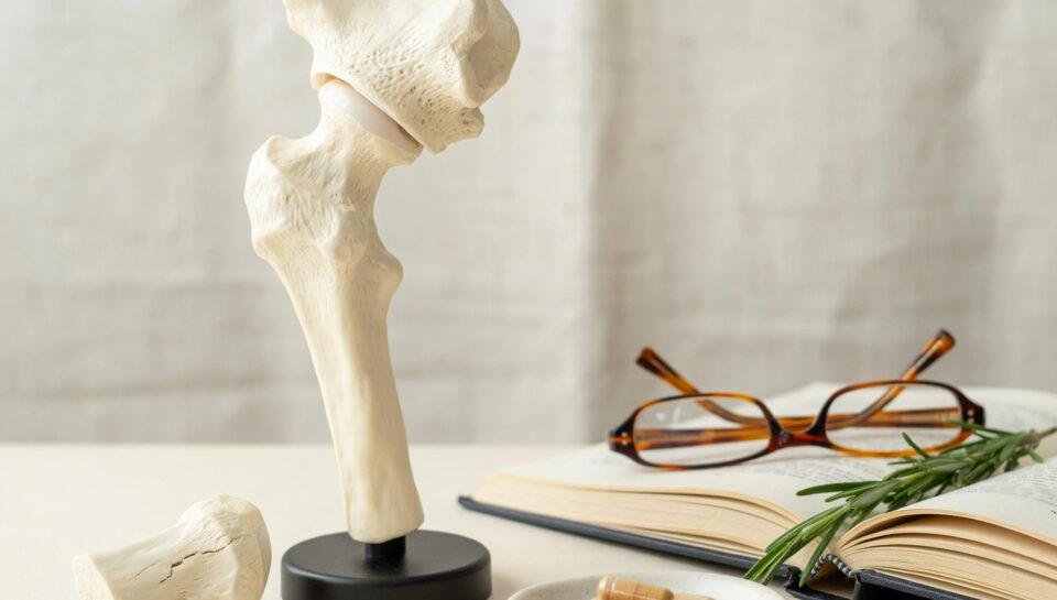 osteoporosi